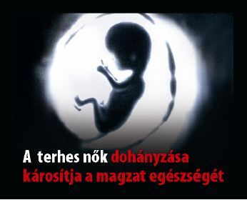 Hungary 2012 ETS baby - targets pregnant women